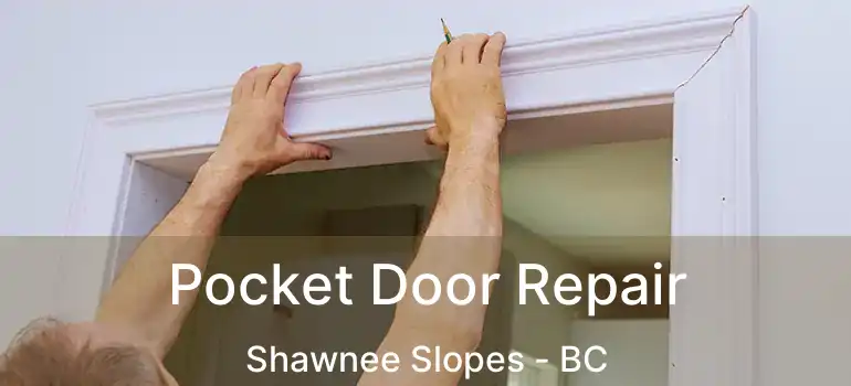  Pocket Door Repair Shawnee Slopes - BC