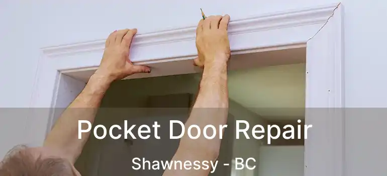 Pocket Door Repair Shawnessy - BC