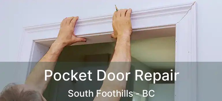  Pocket Door Repair South Foothills - BC