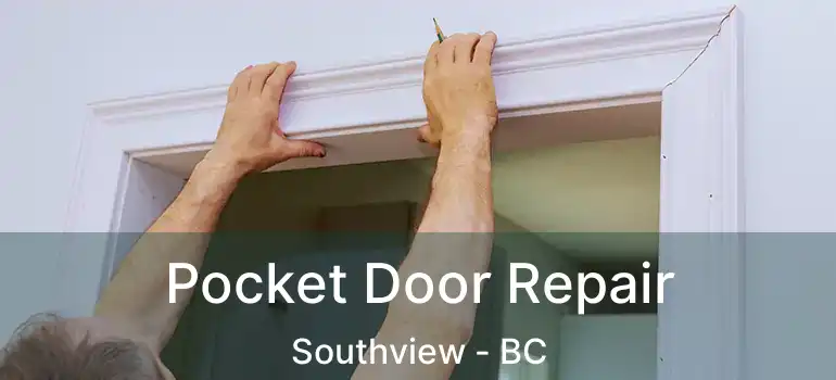  Pocket Door Repair Southview - BC