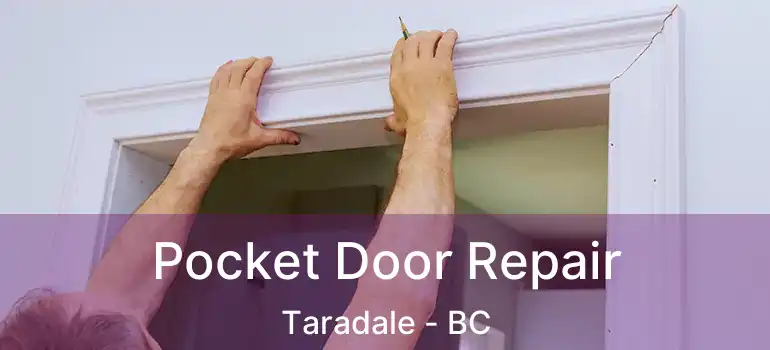  Pocket Door Repair Taradale - BC