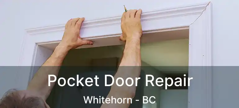  Pocket Door Repair Whitehorn - BC