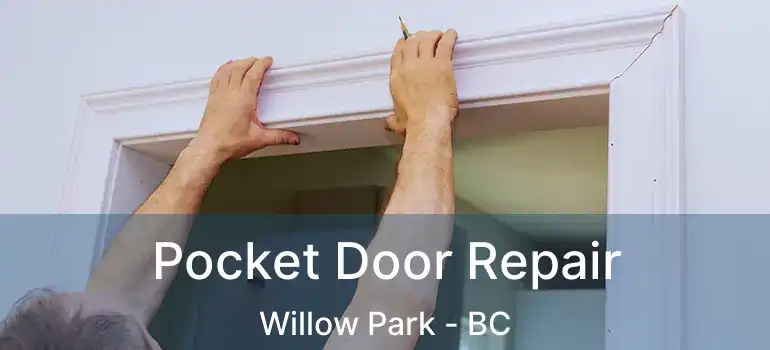 Pocket Door Repair Willow Park - BC