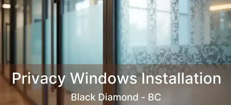  Privacy Windows Installation Black Diamond - BC