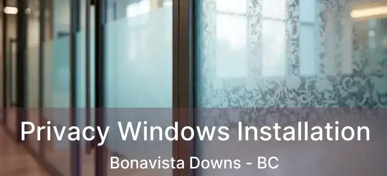  Privacy Windows Installation Bonavista Downs - BC