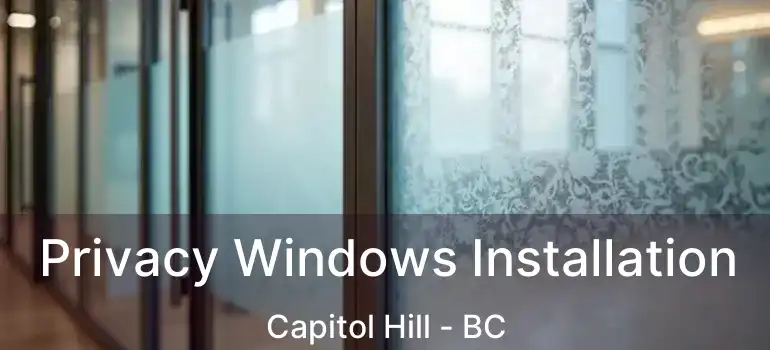  Privacy Windows Installation Capitol Hill - BC