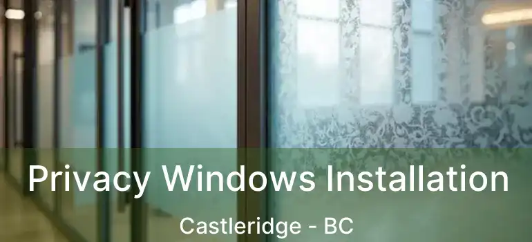  Privacy Windows Installation Castleridge - BC
