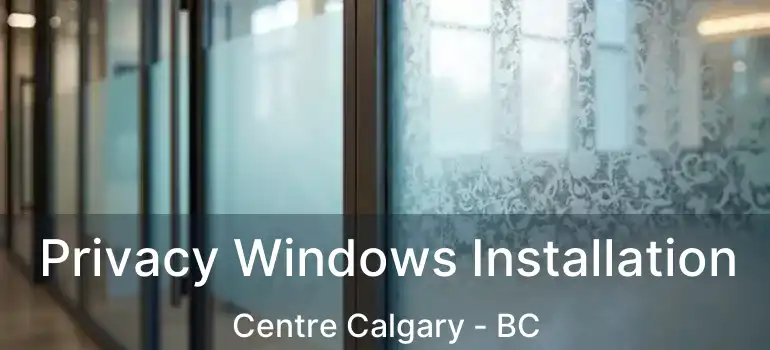  Privacy Windows Installation Centre Calgary - BC