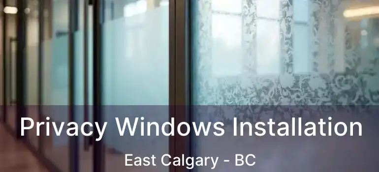  Privacy Windows Installation East Calgary - BC