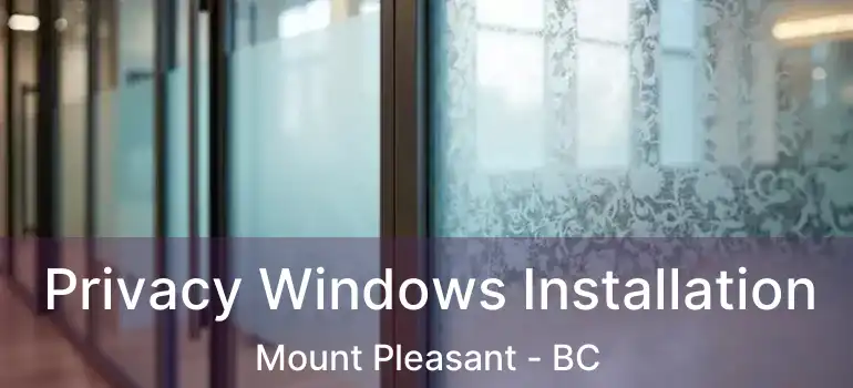  Privacy Windows Installation Mount Pleasant - BC