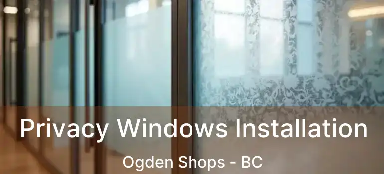  Privacy Windows Installation Ogden Shops - BC