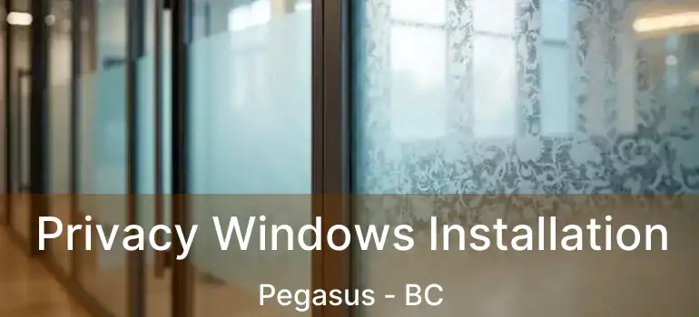  Privacy Windows Installation Pegasus - BC