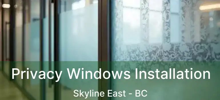  Privacy Windows Installation Skyline East - BC