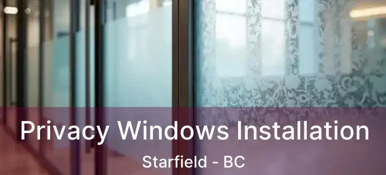  Privacy Windows Installation Starfield - BC