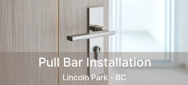  Pull Bar Installation Lincoln Park - BC
