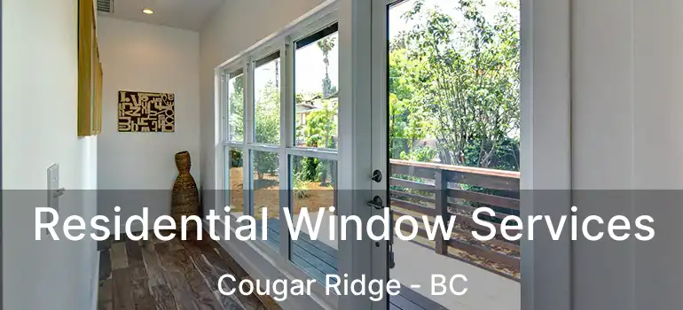  Residential Window Services Cougar Ridge - BC