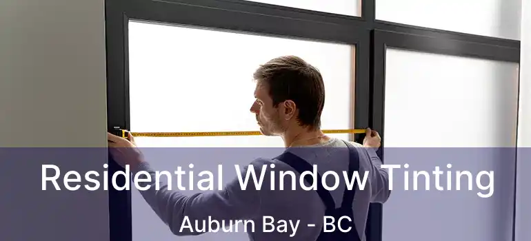  Residential Window Tinting Auburn Bay - BC