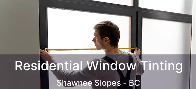  Residential Window Tinting Shawnee Slopes - BC