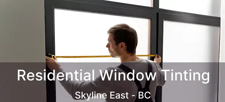  Residential Window Tinting Skyline East - BC