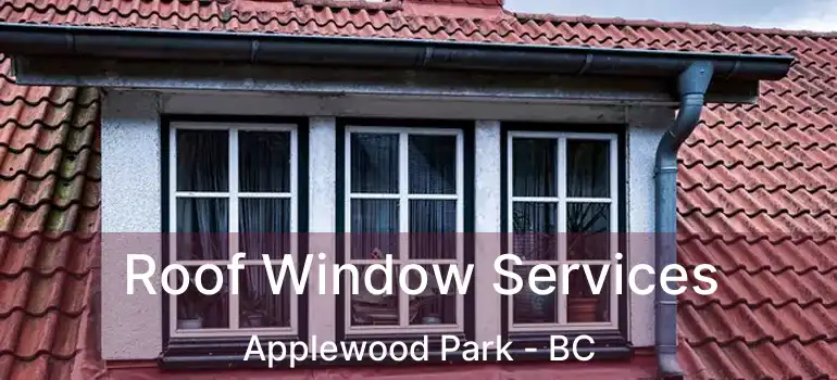  Roof Window Services Applewood Park - BC