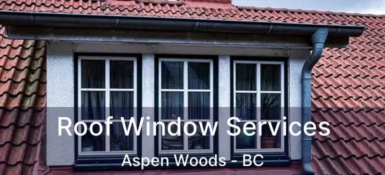  Roof Window Services Aspen Woods - BC