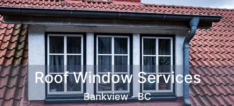  Roof Window Services Bankview - BC
