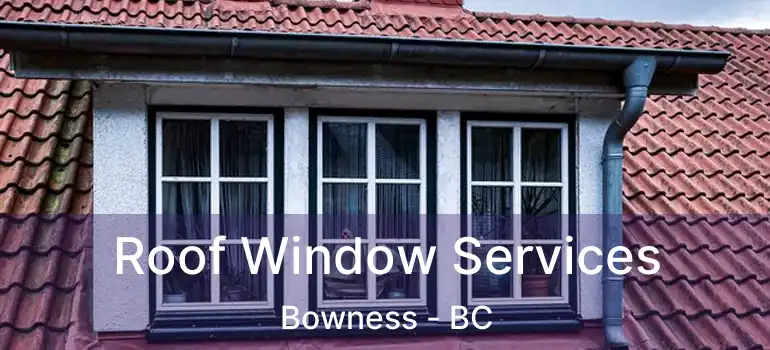  Roof Window Services Bowness - BC