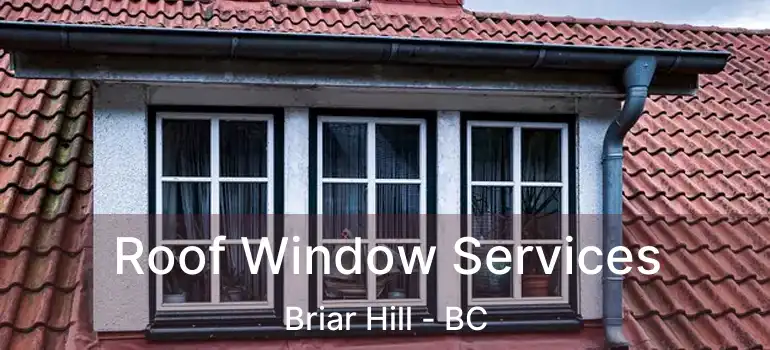  Roof Window Services Briar Hill - BC