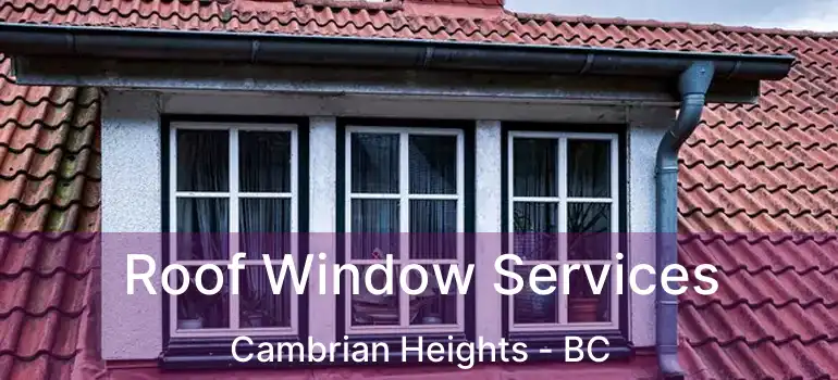  Roof Window Services Cambrian Heights - BC