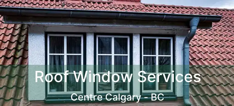  Roof Window Services Centre Calgary - BC