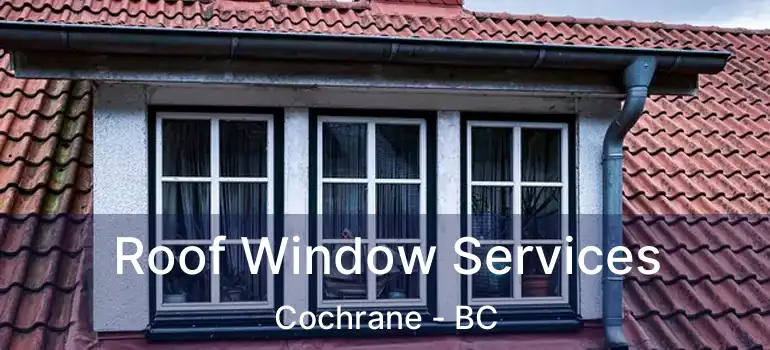  Roof Window Services Cochrane - BC