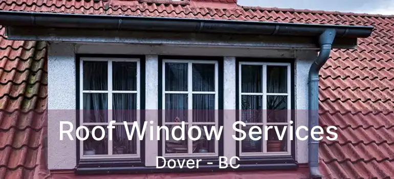  Roof Window Services Dover - BC