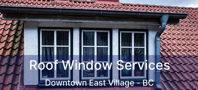  Roof Window Services Downtown East Village - BC