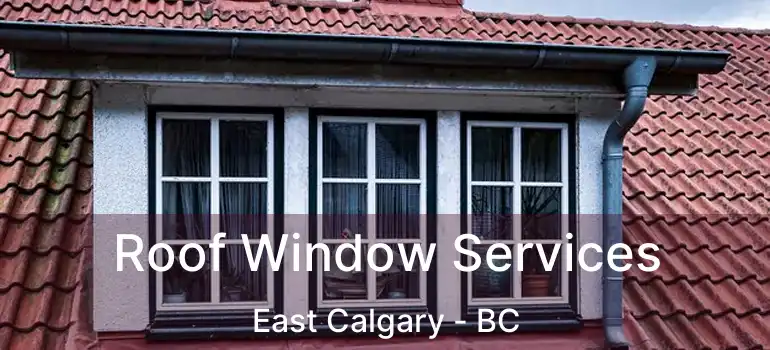  Roof Window Services East Calgary - BC