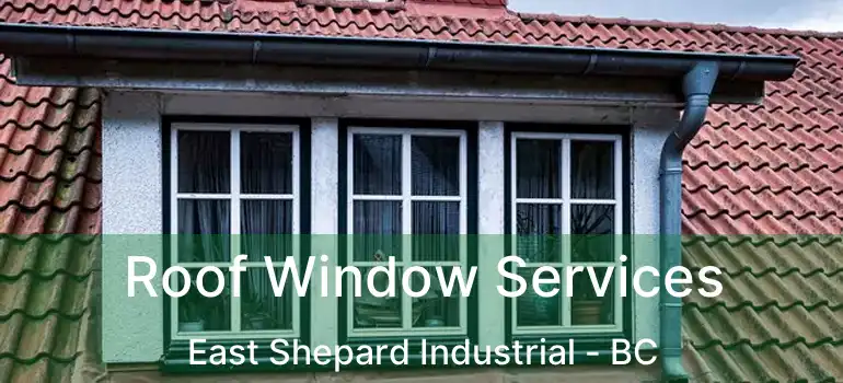  Roof Window Services East Shepard Industrial - BC
