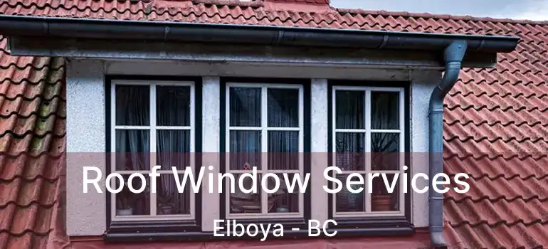  Roof Window Services Elboya - BC