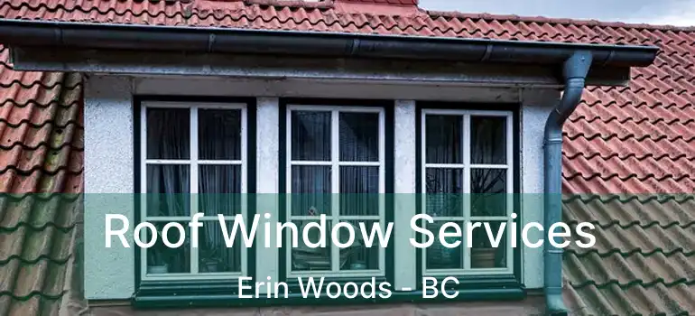  Roof Window Services Erin Woods - BC