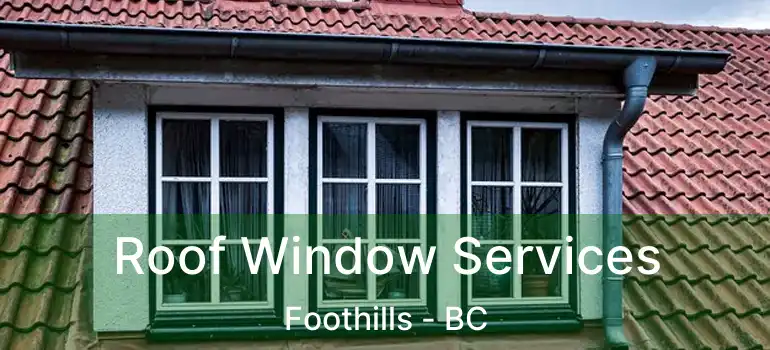  Roof Window Services Foothills - BC