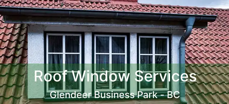  Roof Window Services Glendeer Business Park - BC