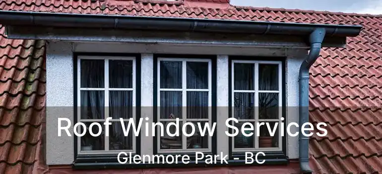  Roof Window Services Glenmore Park - BC