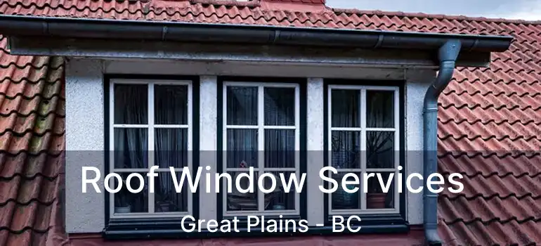 Roof Window Services Great Plains - BC