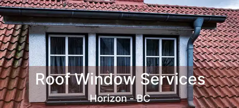 Roof Window Services Horizon - BC