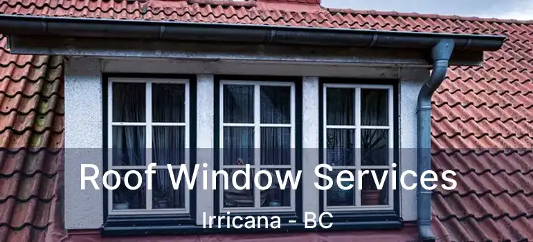  Roof Window Services Irricana - BC