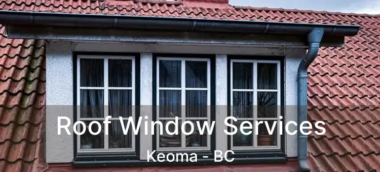  Roof Window Services Keoma - BC