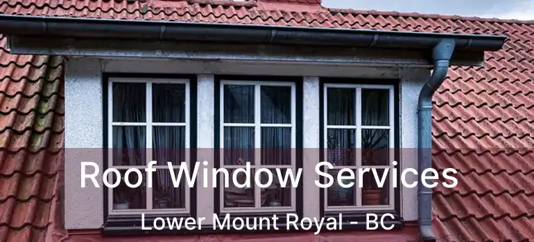  Roof Window Services Lower Mount Royal - BC