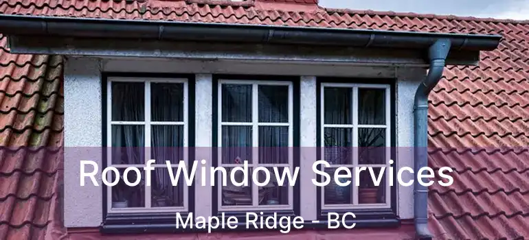  Roof Window Services Maple Ridge - BC