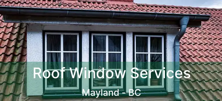  Roof Window Services Mayland - BC