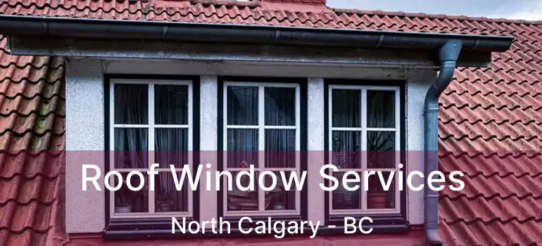  Roof Window Services North Calgary - BC