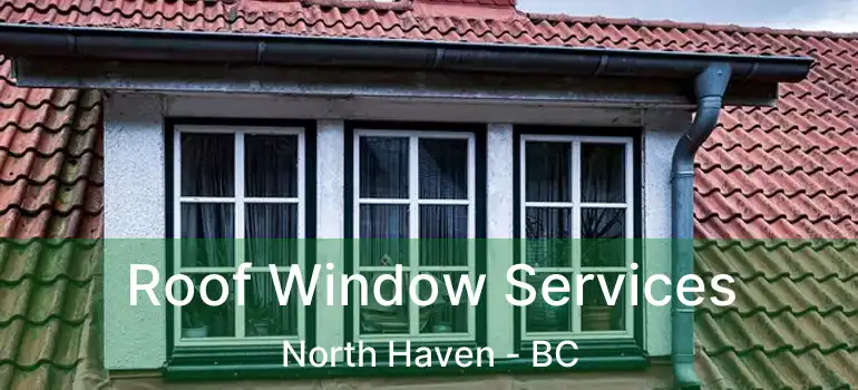  Roof Window Services North Haven - BC