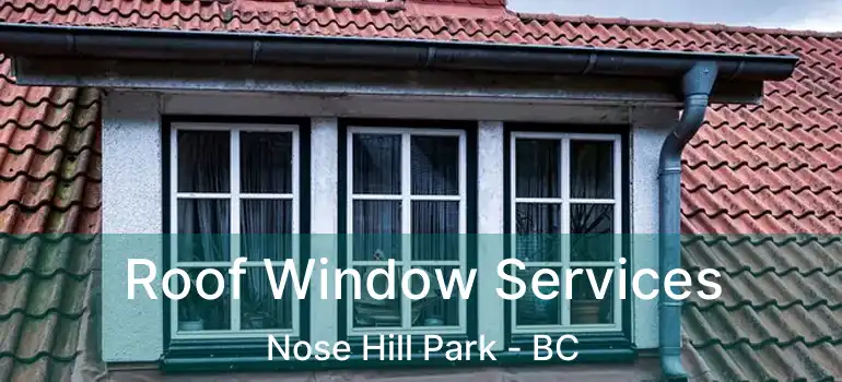  Roof Window Services Nose Hill Park - BC